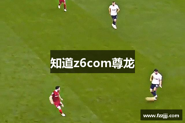 知道z6com尊龙
